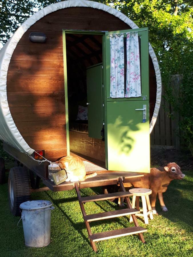 Irish Bowtop Op Het Platteland Van Huize Ouwervelden Wouwsche Plantage Exterior foto